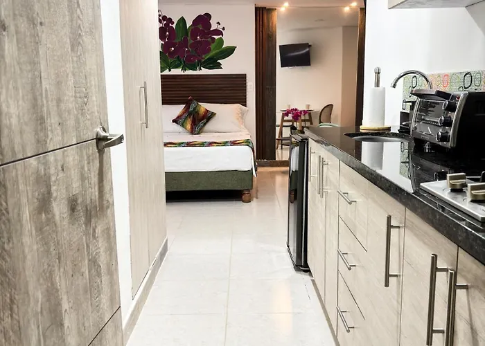 Orquidea Nuevo Y Exclusivo Loft